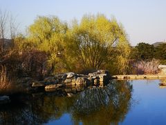 景点-北京西山国家森林公园