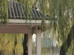 -西北湖绿化广场