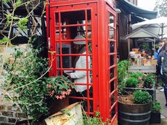 -The Grounds of Alexandria