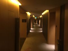 -闻泰花园酒店