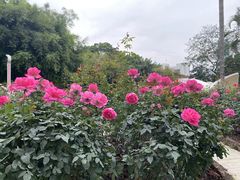 -人民公园(罗湖区)