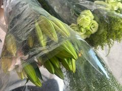 -循礼门鲜花花市(武汉循礼门店)