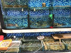水产区-方记洪阳餐厅(福田新村店)