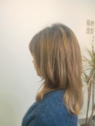 -藤野造型
