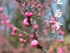 -陕西省西安植物园