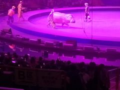 -广州长隆国际大马戏