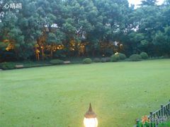 花园一景-申粤轩酒楼·三十年粤菜经典(丁香花园店)