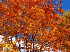 -北京国家会计学院
