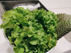 -韩时烤肉(丰科万达广场店)