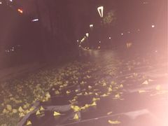 唐城墙遗址公园-唐城墙遗址公园