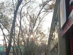 -海尔巴格一甸茶餐厅(团结路店)