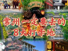 -中华恐龙园