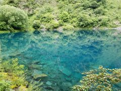 -叠溪松坪沟景区