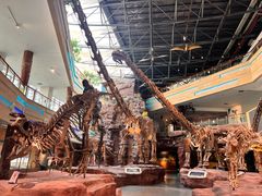 -安徽省地质博物馆