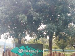 -羊亭河湿地公园