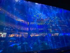 -成都浩海立方海洋公园