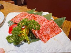 -炼火烤肉店