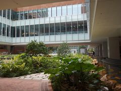 -香港大学