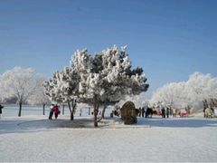 android_upload_pic-北山公园