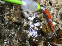 -福州罗源湾海洋世界旅游区