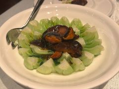 香菇菜心-上海和平饭店龙凤厅 Dragon Phoenix