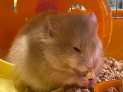 -义乌之心城市生活广场