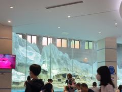 -帝企鹅自助餐厅•儿童岛•真企鹅(长隆企鹅酒店)