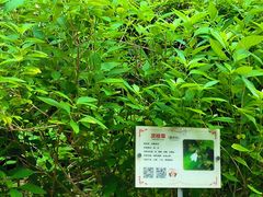 -广州神农草堂中医药博物馆