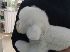 -萌兽医馆·宠物医院·猫骨科(创景店)