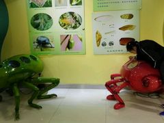 -上海昆虫博物馆