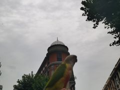-巴公房子
