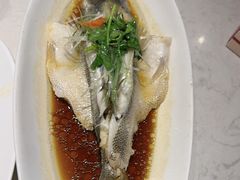 -不倒翁·安徽名菜楼(步行街店)