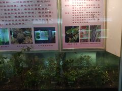 -上海昆虫博物馆