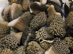 -爆肚于(赵公口桥店)