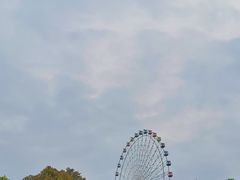 -温州乐园