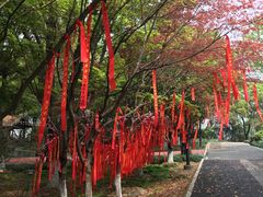 -金鸡湖桃花岛