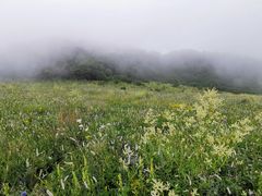 -白草畔自然风景区