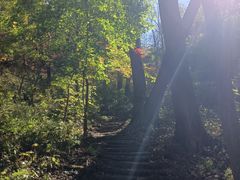 -天女山森林公园
