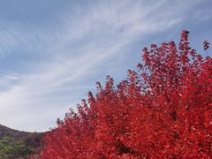 -五女山景区