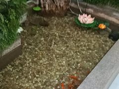 -松坂屋日料自助(长城路店)