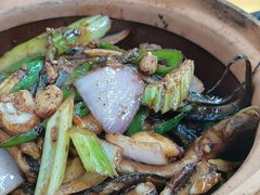-汤氏美食台山水步特色黄鳝饭(龙津东路店)