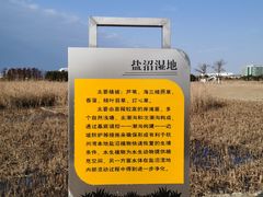 -鹦鹉洲湿地公园