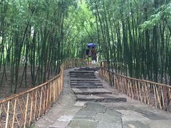 -乌镇东栅景区