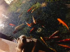 -星光大道