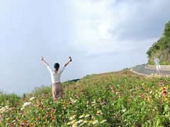 -武陵山森林公园