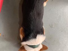 -阿尔法海鲜排档(爱琴海店)
