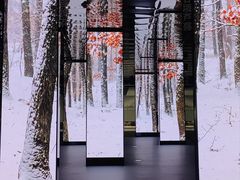 -中国湿地博物馆