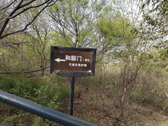 -香山公园