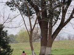 -良渚古城遗址公园