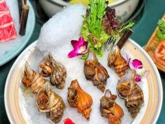 -金龙·打边炉(南京西路店)